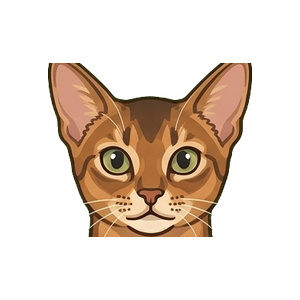 Illustration of a Abyssinian