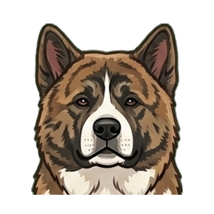 Illustration of a Akita