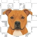 Illustration of a American Pit Bull Terrier