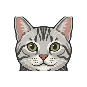 Illustration of a American Shorthair