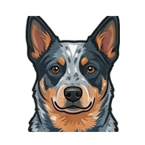 Illustration of a Australian Cattle Dog