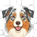 Illustration of a Australian Shepherd