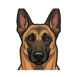 Illustration of a Belgian Malinois