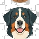 Illustration of a Bernese Mountain Dog