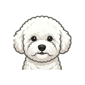 Illustration of a Bichon Frise