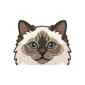 Illustration of a Birman