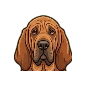 Illustration of a Bloodhound