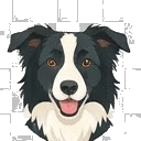 Illustration of a Border Collie