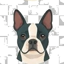 Illustration of a Boston Terrier