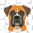 Illustration of a Boxer