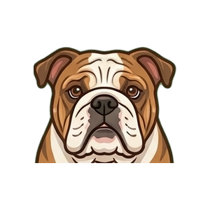 Illustration of a Bulldog