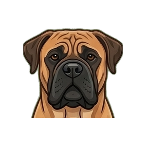 Illustration of a Bullmastiff