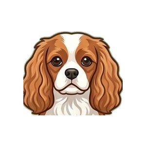 Illustration of a Cavalier King Charles Spaniel
