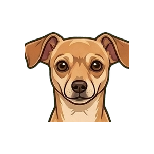 Illustration of a Chiweenie