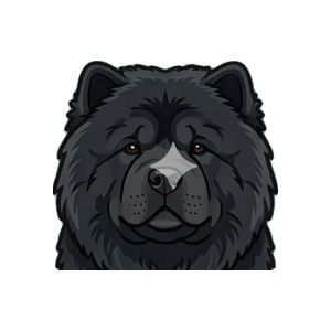 Illustration of a Chow Chow