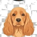 Illustration of a Cocker Spaniel