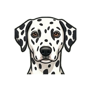 Illustration of a Dalmatian