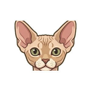 Illustration of a Devon Rex