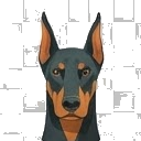 Illustration of a Doberman Pinscher