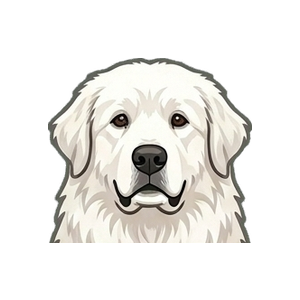 Illustration of a Great Pyrenees