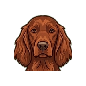 Illustration of a Irish Setter