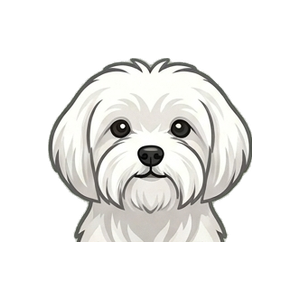 Illustration of a Maltese