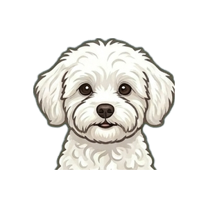 Illustration of a Maltipoo