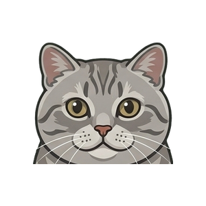 Illustration of a Manx