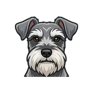 Illustration of a Miniature Schnauzer