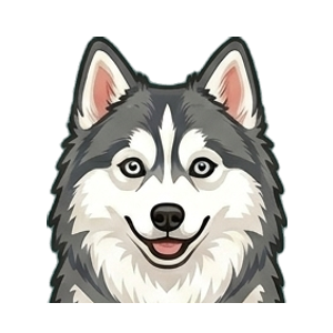 Illustration of a Pomsky