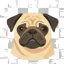 Illustration of a Pug