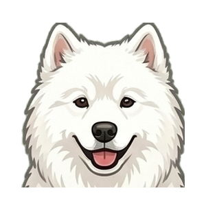Illustration of a Samoyed