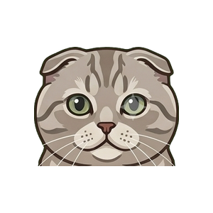 Illustration of a Scottish Fold