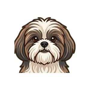 Illustration of a Shih Tzu