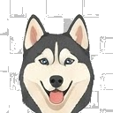 Illustration of a Siberian Husky