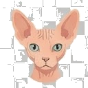 Illustration of a Sphynx