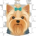 Illustration of a Yorkshire Terrier