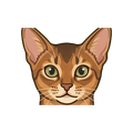 Abyssinian illustration
