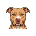 American Pit Bull Terrier illustration