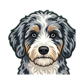 Aussiedoodle illustration