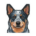 Australian Cattle Dog illustration