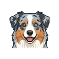 Australian Shepherd illustration
