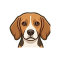 Beagle illustration