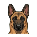 Belgian Malinois illustration