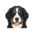 Bernedoodle illustration