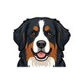 Bernese Mountain Dog illustration