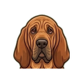 Bloodhound illustration