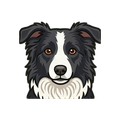 Border Collie illustration