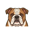 Bulldog illustration