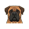 Bullmastiff illustration